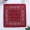 Unisex Cotton Bandana Headwrap Designer Scarf