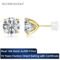 14K gold filled Moissanite stud earrings