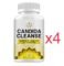 SNGHWE Candida Cleanse Gut Health Capsules