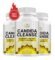 Supplement