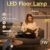 Modern dimmable gooseneck LED floor lamp