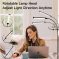 Adjustable gooseneck dimmable LED floor lamp