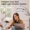 Adjustable gooseneck dimmable LED floor lamp