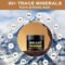 1000mg pure Shilajit resin mineral supplements