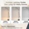 Modern dimmable gooseneck LED floor lamp