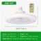 Removable LED ceiling fan light