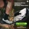 Xtep Chase Mountain Men’s Lightweight Anti-Slip Hiking Sneakers