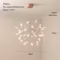 Nordic Modern Firefly Artistic Pendant Light