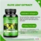 olive-leaf-extract-health-safety-support
