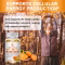 Liposomal Vitamin C 1000mg with Zinc 20mg Immune Support Capsules