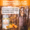 Liposomal Vitamin C 1000mg with Zinc 20mg Immune Support Capsules