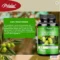 olive-leaf-extract-health-safety-support