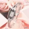 Stainless Steel Quartz Watch Ladies Watch Women Fashion