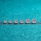 KNOBSPIN Moissanite Stud Earrings – 14K White Gold Plated Sterling Silver